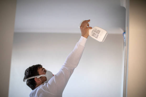 Best Mold Removal Near Me  in Revere, MA