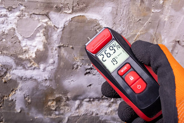 Trusted Revere, MA Mold Removal Experts