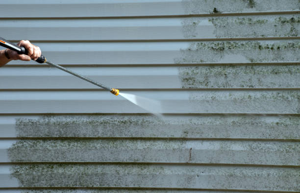 Certified Mold Removal in Revere, MA