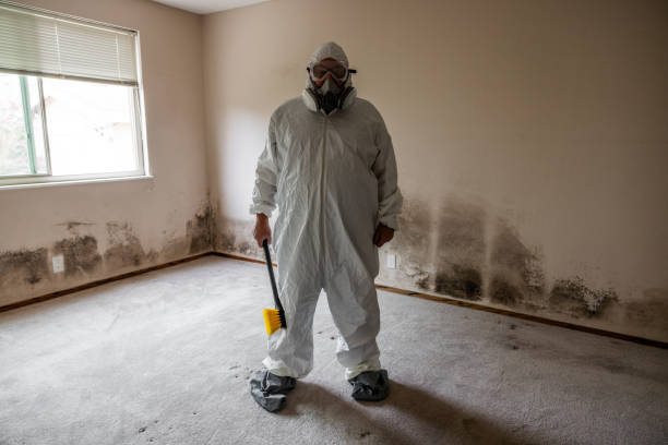 Crawl Space Mold Removal in Revere, MA